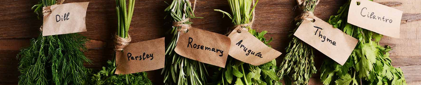 Βοτανολόγιο